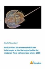 Bericht über die wissenschaftlichen Leistungen in der Naturgeschichte der niederen Tiere während des Jahres 1859