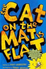 Cat on the Mat is Flat