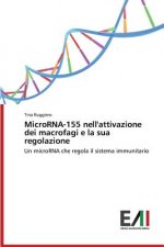MicroRNA-155 nell'attivazione dei macrofagi e la sua regolazione