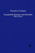 Gesammelte Romane und Novellen
