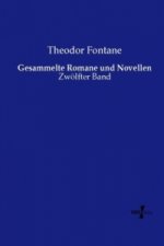 Gesammelte Romane und Novellen