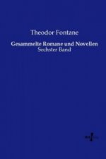 Gesammelte Romane und Novellen