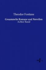 Gesammelte Romane und Novellen