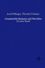 Gesammelte Romane und Novellen