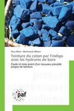 Teinture Du Coton Par l'Indigo Avec Les Hydrures de Bore