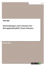 Entwicklungen und Ursachen der Betrugskriminalitat. Ponzi Schemes