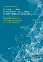 UEber die Struktur der Solomon-Tits-Algebren der symmetrischen Gruppen