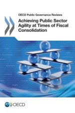Achieving public sector agility at times of fiscal consolidation