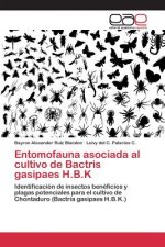 Entomofauna asociada al cultivo de Bactris gasipaes H.B.K