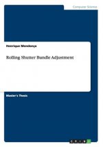 Rolling Shutter Bundle Adjustment
