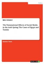 The Transnational Effects of Social Media in the Arab Spring. The Cases of Egypt and Tunisia