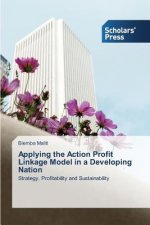 Applying the Action Profit Linkage Model in a Developing Nation