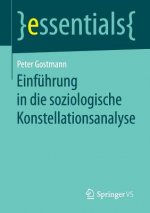 Einfuhrung in die soziologische Konstellationsanalyse