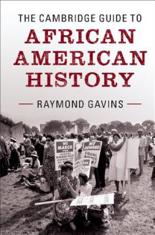 Cambridge Guide to African American History