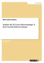 Analyse der EU-Low-Carbon-Strategy A New Growth Path for Europe