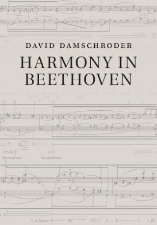Harmony in Beethoven