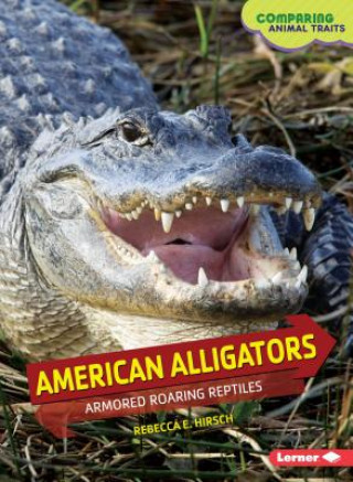 American Alligators