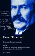Schriften zur Bedeutung des Protestantismus fur die moderne Welt (1906-1913)