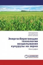 Jenergosberegajushhie tehnologii vozdelyvaniya kukuruzy na zerno