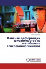 Vliyanie deformacii fibroblastov na metabolizm glikozaminoglikanov