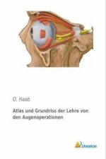Atlas und Grundriss der Lehre von den Augenoperationen