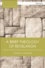 Brief Theology of Revelation