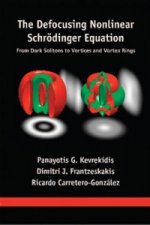 Defocusing Nonlinear Schrodinger Equation