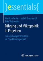 Fuhrung und Mikropolitik in Projekten