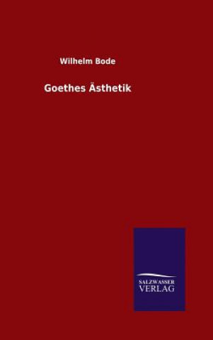 Goethes AEsthetik