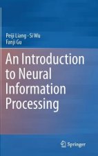 Introduction to Neural Information Processing