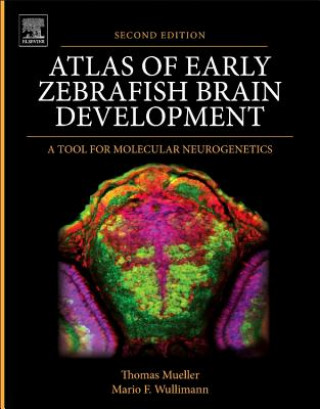 Atlas of Early Zebrafish Brain Development
