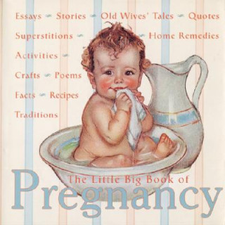 Little Big Book of Pregnancy