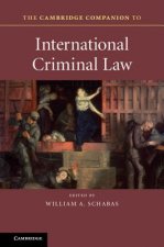 Cambridge Companion to International Criminal Law