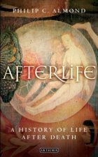 Afterlife