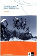 Schnittpunkt Mathematik 6. Differenzierende Ausgabe Baden-Württemberg