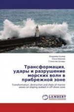 Transformaciya, udary i razrushenie morskih voln v pribrezhnoj zone