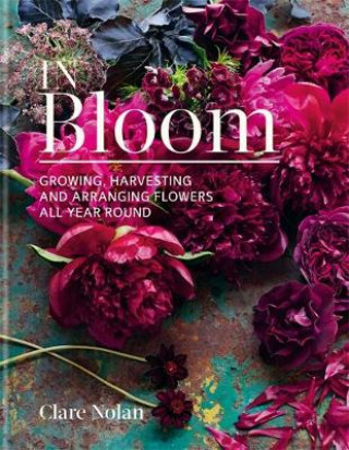 In Bloom (Clare Nolan)(Kemény kötésű)