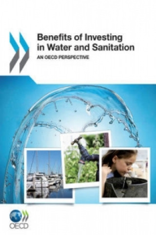 Benefits of Investing in Water and Sanitation