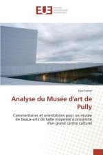 Analyse du Musee d'art de Pully