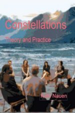 Constellations - Theory and Practice