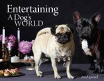 Entertaining A Dog's World