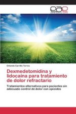 Dexmedetomidina y lidocaina para tratamiento de dolor refractario