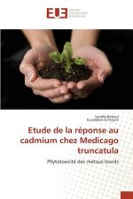 Etude de la reponse au cadmium chez Medicago truncatula