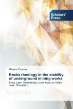 Rocks rheology in the stability of underground mining works