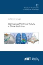 ECG Imaging of Ventricular Activity in Clinical Applications