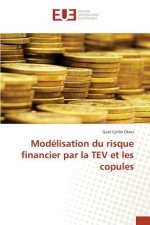 Modelisation du risque financier par la TEV et les copules