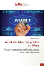 Audit des Marches publics au Niger