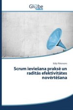 Scrum ieviesana praksē un radītās efektivitātes novērtēsana