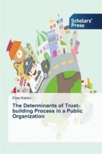 Determinants of Trust-building Process in a Public Organization