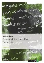 Latein einfach erklärt: Grammatik